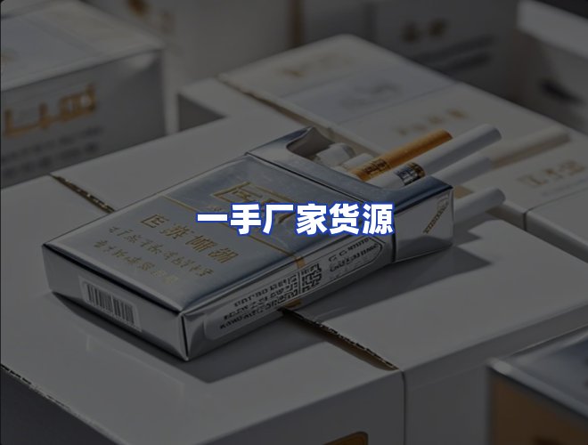 专业团队